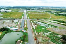 Tính đến 16h ngày 30/1/2021, có 34 dự án có sử dụng đất đã mở hồ sơ đăng ký qua mạng trên Hệ thống mạng đấu thầu quốc gia, trong đó có 22 dự án có 1 nhà đầu tư nộp hồ sơ đăng ký. Ảnh: Lê Tiên