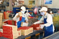 Nhiêu chuyên gia đề xuất nên ưu tiên hỗ trợ các doanh nghiệp có triển vọng và khả năng phục hồi sản xuất, kinh doanh, các doanh nghiệp lẽ ra sẽ phát triển nhanh nếu không có Covid-19