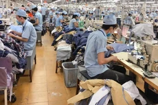 BDG chốt danh sách trả cổ tức đợt 2/2020, tỷ lệ 10%