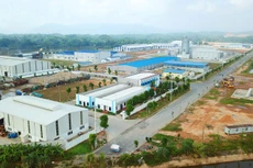 Bộ Kế hoạch và Đầu tư hướng dẫn bổ sung 17 mẫu văn bản thực hiện thủ tục đầu tư áp dụng đối với nhà đầu tư, 16 mẫu áp dụng đối với cơ quan quản lý nhà nước về đầu tư. Ảnh: Lê Tiên