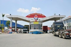 IST chia cổ tức đợt 1/2020 tỷ lệ 20%