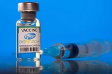 Vaccine Pfizer - Ảnh: AP