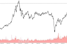 VN-Index đang có chuỗi ngày tăng kỳ dị nhất nhờ hiện tượng nghẽn hệ thống giao dịch. 
