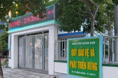 Gói thầu bị kiến nghị do Quỹ Bảo vệ và Phát triển rừng tỉnh Quảng Nam làm chủ đầu tư, Công ty CP Tư vấn Toàn Thành làm bên mời thầu. Ảnh: Quốc Học