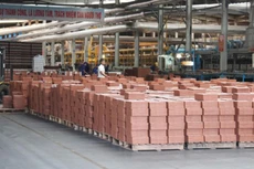 VHL dự kiến chia cổ tức tỷ lệ 22%