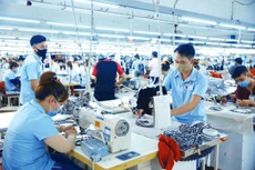 Các giải pháp hỗ trợ về thuế, phí có tác động rất rõ rệt, kịp thời tiếp sức cho doanh nghiệp duy trì hoạt động sản xuất, kinh doanh, đảm bảo công ăn việc làm cho người lao động. Ảnh: Lê Tiên