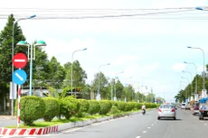 Phạm vi công việc tại 2 gói thầu duy tu cây xanh tại quận Bình Thủy (TP. Cần Thơ) bao gồm trồng, chăm sóc và bảo dưỡng cây xanh. Ảnh: Tiên Giang