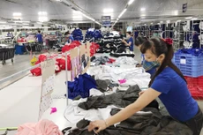 7 tháng 2021, TNG đạt 2.965 tỷ đồng doanh thu