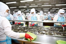 Trong quý I/2021, xuất khẩu hàng hóa của Việt Nam sang EU tăng 18% so với cùng kỳ năm 2020, đạt 9,932 tỷ USD. Ảnh: Tiên Giang