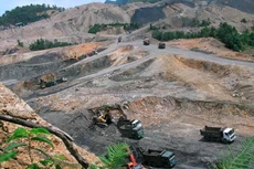 HGM trả cổ tức đợt 1/2021, tỷ lệ 10%