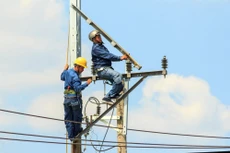 Trong tháng 1/2021, Công ty CP Điện lực Licogi 16 được công bố trúng 3 gói thầu tại các đơn vị thuộc Tổng công ty Điện lực miền Nam với tổng giá trúng thầu 182,2 tỷ đồng