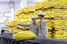 Gói thầu Cung cấp phân bón do Phòng Nông nghiệp và Phát triển nông thôn huyện Kbang, tỉnh Gia Lai làm chủ đầu tư. Ảnh minh họa: Huy Hùng