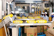 Gói thầu Cung cấp, lắp đặt máy dán thùng tự động tại Công ty CP Bột giặt Lix có 2 nhà thầu tham dự. Ảnh minh họa: Trọng Vũ