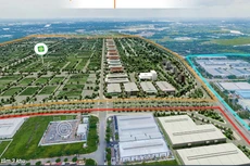 LHG chuẩn bị trả cổ tức tỷ lệ 19%