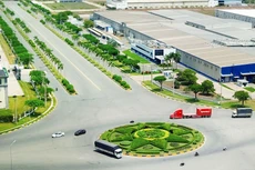 Việt Nam hoàn toàn có thể trở thành quốc gia đi đầu trong khu vực về tăng trưởng xanh. Ảnh: Lê Tiên