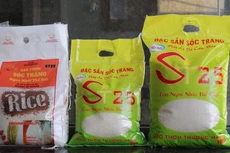 Xuất khẩu gạo ST25 tăng trưởng cao