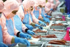 Ảnh minh họa: Internet