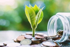 VNR chốt danh sách cổ đông nhận cổ phiếu thưởng, tỷ lệ 100:15