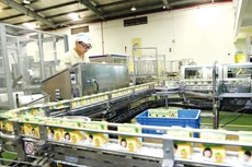 Ngành công nghiệp chế biến, chế tạo tiếp tục đóng vai trò động lực dẫn dắt tăng trưởng của nền kinh tế trong quý I với mức tăng 9,45% so với cùng kỳ năm trước. Ảnh: Huấn Anh