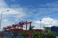 DVP tạm ứng cổ tức tỷ lệ 15%