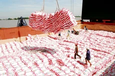 Nhiều doanh nghiệp xuất khẩu gạo của Việt Nam được hưởng lợi từ EVFTA. Ảnh: Song Lê