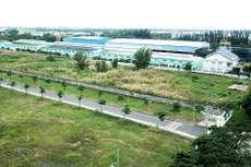 128.619 doanh nghiệp và 56.268 hộ, cá nhân kinh doanh đã được gia hạn tổng số thuế và tiền thuê đất là 67.234,6 tỷ đồng. Ảnh: Lê Tiên