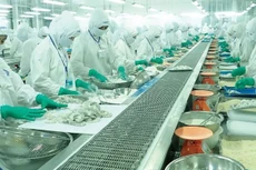 Quý I/2021, FMC ước đạt 42,3 triệu USD doanh thu