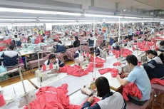 Quý I/2021, MSH đạt lợi nhuận sau thuế 92,1 tỷ đồng