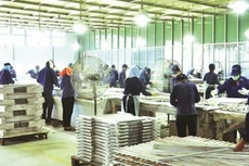 PTB chốt cổ tức tiền mặt và thưởng cổ phiếu cho cổ đông