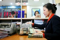 Ngân hàng TMCP Sài Gòn Thương Tín rao bán khoản nợ của Công ty TNHH Thương mại Xây dựng Phương Nghi với giá khởi điểm 905,4 tỷ đồng. Ảnh: Song Lê