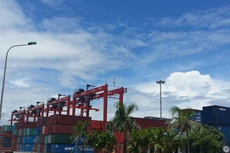 DVP đặt kế hoạch lợi nhuận quý I/2021 giảm 9,4%