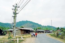 Ảnh minh họa: Internet