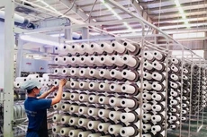 TPC trả cổ tức năm 2020 bằng tiền, tỷ lệ 8%