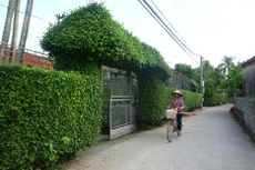 Từ năm 2017 đến nay, Công ty TNHH Xây dựng Kim Tiến được công bố trúng 24 gói thầu tại Ninh Bình với tổng giá trúng thầu khoảng 250 tỷ đồng. Ảnh minh họa: Nhã Chi