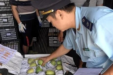 Doanh nghiệp, người tiêu dùng có thể tra cứu tình trạng hàng hóa trên Cổng để đăng ký kiểm tra theo phương thức phù hợp. Ảnh: Internet 