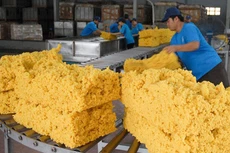 3 tháng đầu năm, kim ngạch xuất khẩu nhóm hàng cao su ước đạt 5,97 tỷ USD, tăng 6,6% so với cùng kỳ năm 2020. Ảnh: Minh Trí