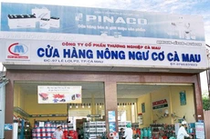 CMV trả cổ tức bằng tiền, tỷ lệ 8%