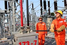 Ảnh minh họa: Internet