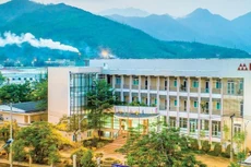 Quý II/2021, DRC báo lãi tăng 121,3%