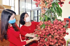 Lô hàng đặc sản vải thiều đầu tiên của Việt Nam được nhập khẩu chính ngạch vào Pháp qua đường hàng không ở thời điểm dịch Covid-19 bùng phát tại Bắc Giang