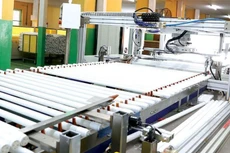 RAL chuẩn bị phát hành ESOP tỷ lệ 5%