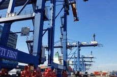 TCL trả cổ tức bằng tiền mặt, tỷ lệ 50%