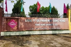 May Sông Hồng (MSH): Quý IV/2020, lợi nhuận đạt 66,4 tỷ đồng