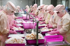 Hơn 260 doanh nghiệp vào danh sách sơ tuyển Doanh nghiệp xuất khẩu uy tín năm 2020