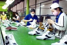 Hiệp định RCEP sẽ giúp doanh nghiệp Việt Nam mở ra cơ hội tăng trưởng xuất khẩu, gia tăng đầu vào từ nhập khẩu có chất lượng; tham gia chuỗi giá trị… Ảnh: Lê Tiên