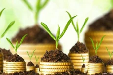 C32 trả cổ tức còn lại năm 2020, tỷ lệ 12%