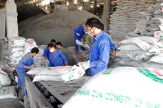 Hồ sơ mời thầu yêu cầu hàm lượng phân bón chuyên dùng cho cây luồng mà chỉ có một nhà cung cấp đáp ứng được là hạn chế sự tham gia của nhà thầu. Ảnh: Phú An