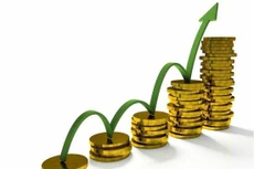 Tổng công ty Thăng Long: Doanh thu và lãi ròng quý II/2021 tăng mạnh