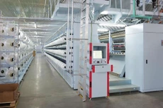 STK lên kế hoạch trả cổ tức tiền 15%