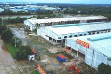 Cơ quan thuế đang tiếp tục đẩy mạnh tuyên truyền, hỗ trợ tiếp nhận giấy đề nghị gia hạn nộp thuế và tiền thuê đất cho doanh nghiệp. Ảnh: Nhã Chi